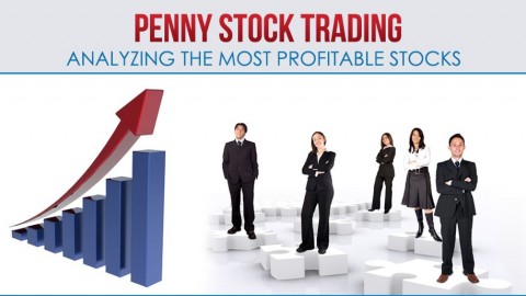 penny stock traders to follow